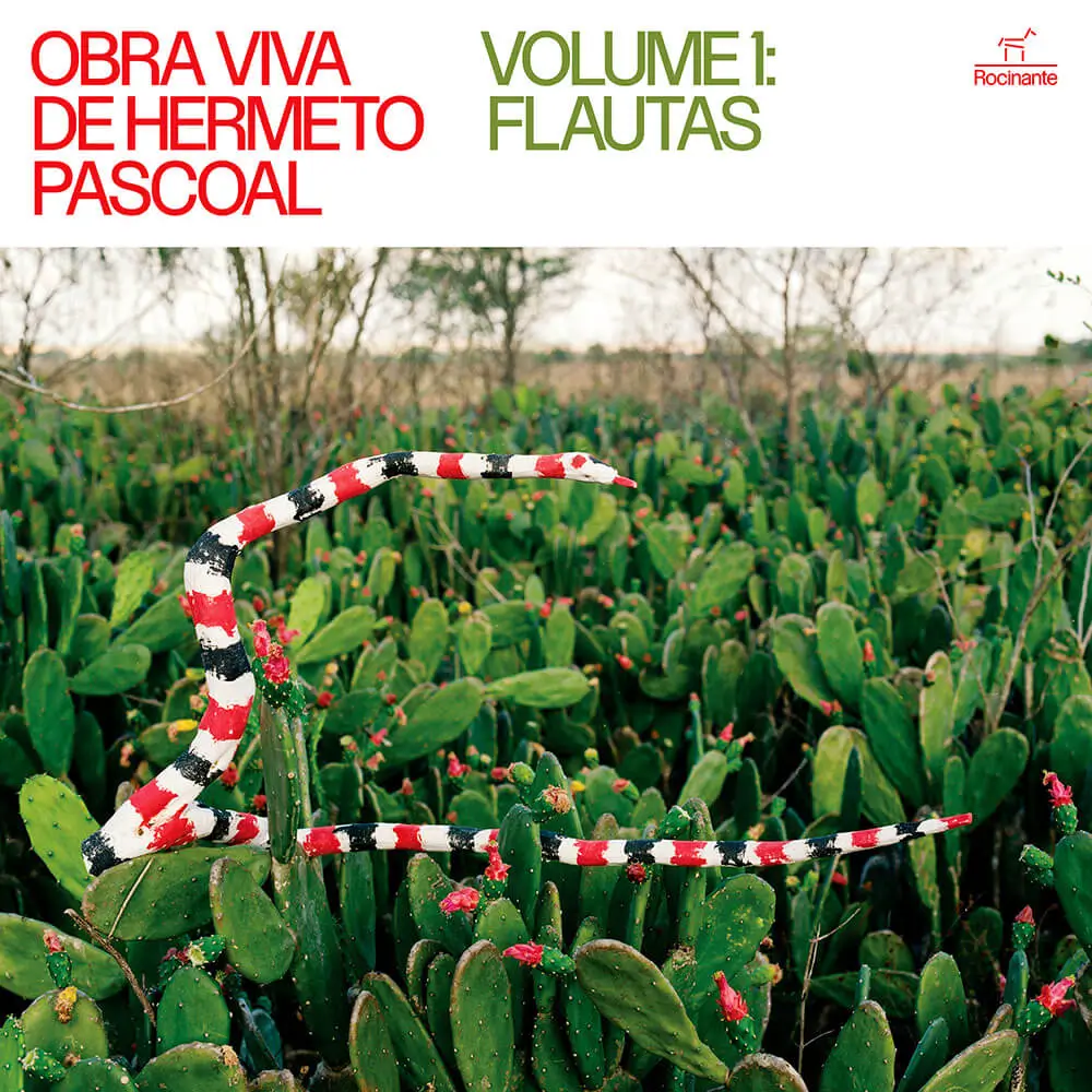 Capa do disco Vol 1: Flautas